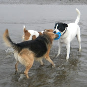 Profile Picture of Jacqueline Oneill (@jacquelineoneill1965) on Youtube