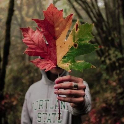 Profile Picture of S.Pai (@Stephen29172122) on Twitter