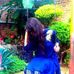 Profile Picture of Areeba Rehman (@areeba.rehman.393) on Facebook