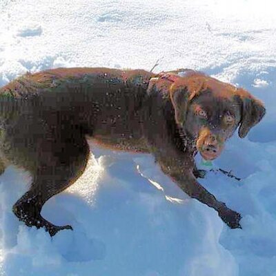 Profile Picture of Kevin Delaney (@yintercept) on Twitter