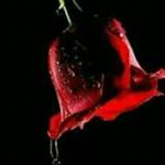 Profile Picture of franco fernando aramayo (@francoaramayo980) on Instagram