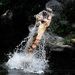 Profile Picture of Jason Liggett (@jasonliggett01) on Pinterest