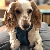 Profile Picture of Chase Rothe (@chase-rothe) on Quora