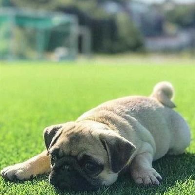 Rosemarie Jimenez - Twitter Profile Picture of Rosemarie Jimenez (@Rosemar47864849) on Twitter