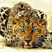 Profile Picture of David Reilly (Choca) (@david.reilly.714049) on Facebook