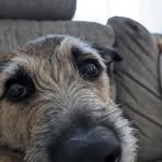 Profile Picture of Claudia Freymann (@ClWa05) on Facebook