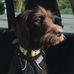 Profile Picture of John Mueller (@john.mueller.3551380) on Facebook