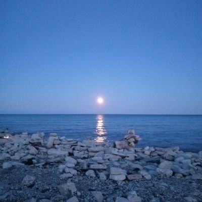 Profile Picture of Christopher Gilliam (@Christpgi232) on Twitter