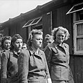 Profile Picture of Female guards in Nazi concentration campson Wikipedia