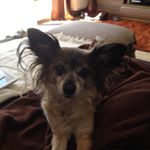 Profile Picture of Robin Bahr (@robin_bahr1212) on Instagram