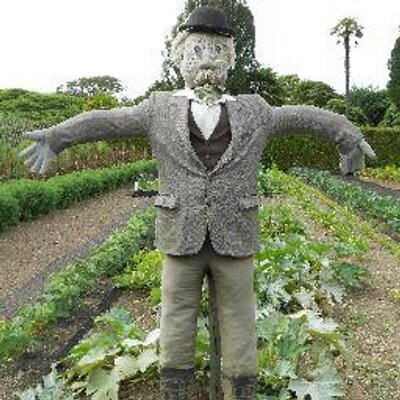 Profile Picture of Andrew In Newcastle (@Canny_mal) on Twitter