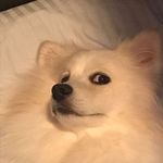 Profile Picture of Ivan Feng (@ivanfeng62) on Instagram