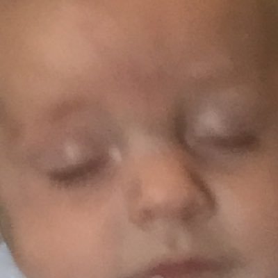 Profile Picture of Nicholas Timmons (@nick__kort) on Twitter