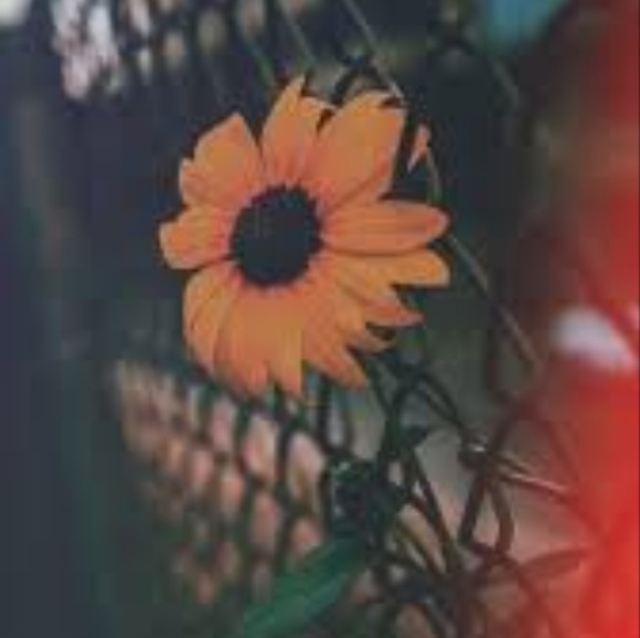 Profile Picture of Erynn Knight (@itzurgirlern) on Poshmark