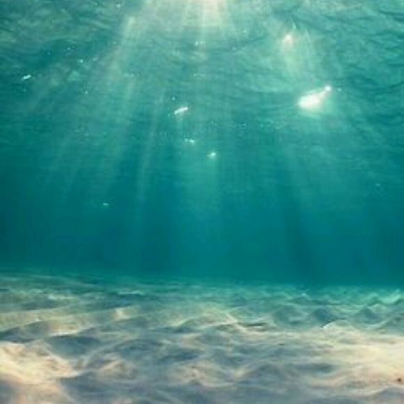 Profile Picture of Laribel Tanori (@lilygirl923) on Poshmark