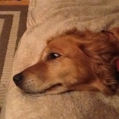 Profile Picture of Eric Smither (@@SmitherEric) on Twitter