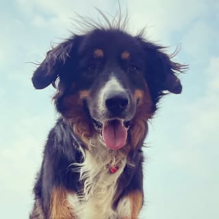 Profile Picture of BARRY SCOTT (@barryfuckingscott) on Instagram