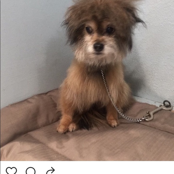 Profile Picture of Debbie Glaskin (@debbieandbruce) on Poshmark