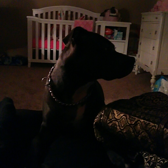 Profile Picture of Clinton Kirchknopf (@josh19955) on Poshmark