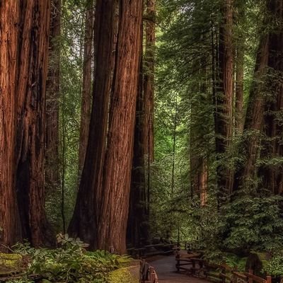 Profile Picture of Jeff Slaymaker (@jslaymaker01) on Twitter