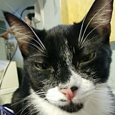 El Loco Moco - Twitter Profile Picture of El Loco Moco (@DanielMadril) on Twitter