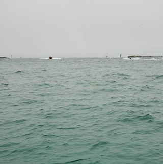 Penny Williams Winkler - Facebook Profile Picture of Penny Williams Winkler (@pennydwinkler) on Facebook