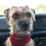 Profile Picture of Tina Fielding (@tinafieldingg) on Instagram
