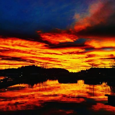 Profile Picture of Erik Johnsrud (@ErikJohnsrud2) on Twitter