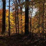 Profile Picture of John Reid Eichelberger (@john.reid.eichelberger) on Instagram