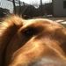 Profile Picture of Melissa Hall (@dartsammom) on Pinterest