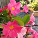 Profile Picture of Ida Kamps (@ida.kamps) on Facebook