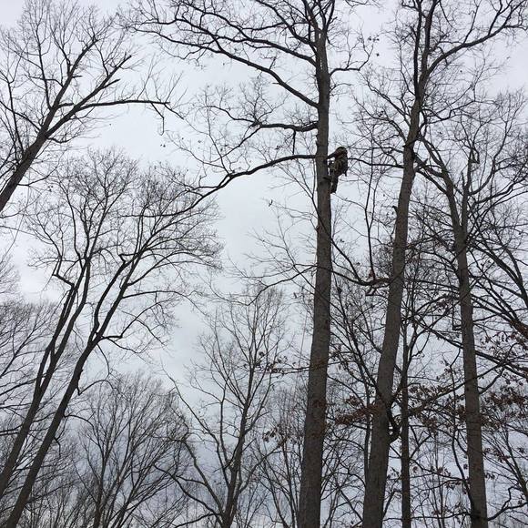 Profile Picture of Wyatt Williams (@wyatt_williams) on Poshmark