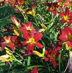 Profile Picture of Gloria Capps (@gloria.capps.5) on Facebook