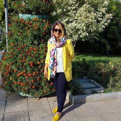 Profile Photo of Tanin Mohsenzadeh (@TMohsenzadeh) on Twitter