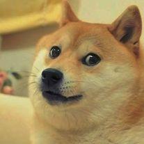 Profile Picture of John Covey (@DerpestDoge) on Twitter