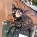 Profile Picture of Sheila Miklich (@sheilamiklich) on Pinterest