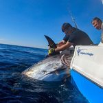 Profile Picture of Cooper Mcglashan (@coops_mcglashan) on Instagram