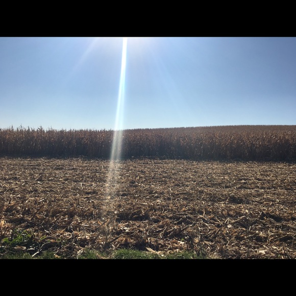 Profile Picture of Hannah Ludwig (@hrlsnickers) on Poshmark