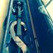 Profile Picture of José Zurita Arencibia (@josezurare) on Pinterest