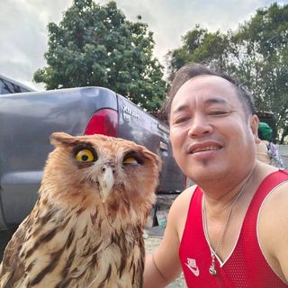 Profile Picture of Melchor Vidal (@melchor.vidal.334) on Facebook