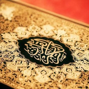 Mark Schuch - Myspace Profile Picture of Mark Schuch (@mark_schuch) on Myspace