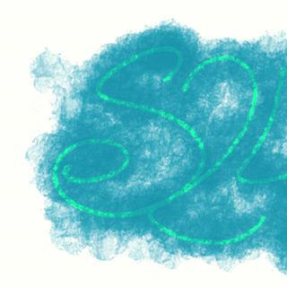 Profile Picture of Silvio Manzo (@silvio.manzo.144) on Facebook