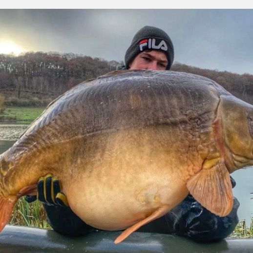 Matthew - Tiktok Profile Picture of Matthew (@matthewbourne81) on Tiktok