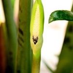 Profile Picture of Luis Lares (@luislaresvzla) on Instagram