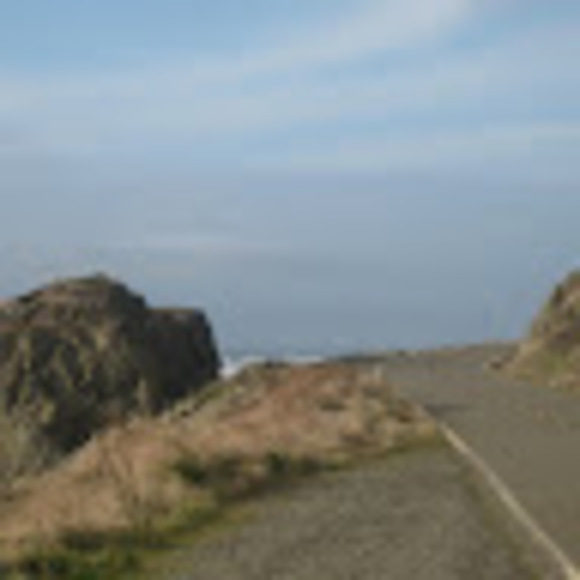 Profile Picture of Cynthia Dieden (@ccdee08) on Poshmark