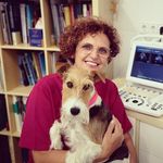 Profile Picture of Maria Llaneza Fernandez (@mariallanezafernandez) on Instagram