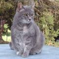 Profile Picture of Peggy Singleton457 (@@user94778248444236) on Tiktok