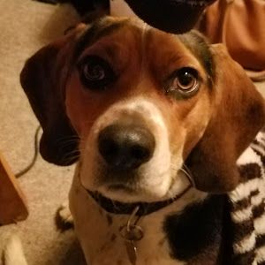 Profile Picture of Earl Cumley411 (@earlcumley411) on Tiktok