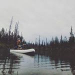 Profile Picture of Jessica Gable (@akbushbaby) on Instagram