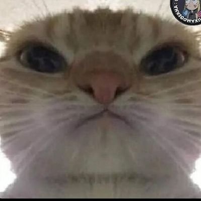 Profile Picture of Nothing Important (@SarahJulia1011) on Twitter